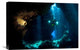 "The Explorer" Stretched Canvas Giclee by Csaba Tokolyi, 22x15"