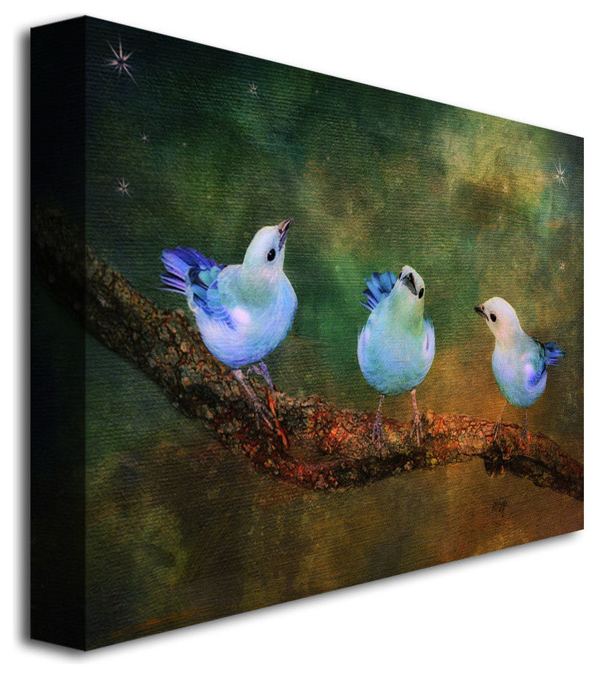 'Three Little Blue Birds' Canvas Art by Lois Bryan