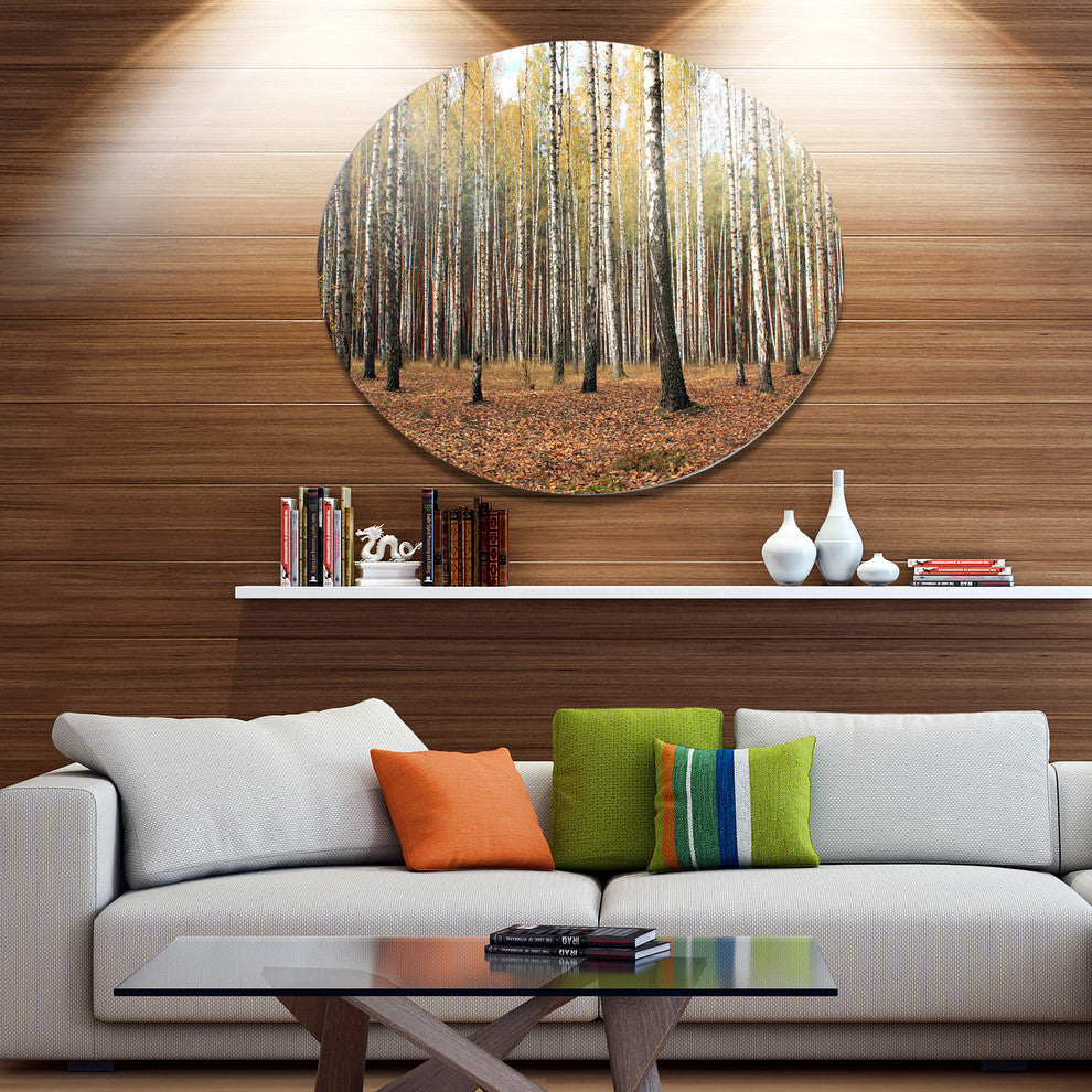 Beautiful Birch Forest Photography, Modern Forest Round Wall Art, 36"