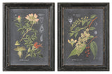 Uttermost Midnight Botanicals MDF Wood Wall Art in Multi-Color (Set of 2)