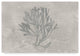 Lisa Audit ''Water Coral Iii'' Canvas Art, 47"x30"
