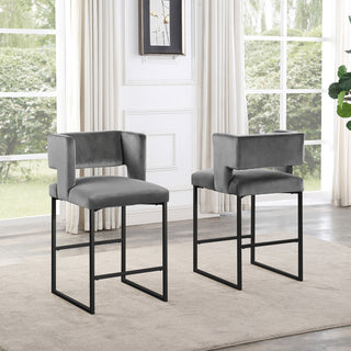 Leonard Modern 27" Counter Height Stool, Set of 2, Grey/Black