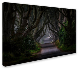 Piotr Galus 'Magic Road' Canvas Art, 12x19