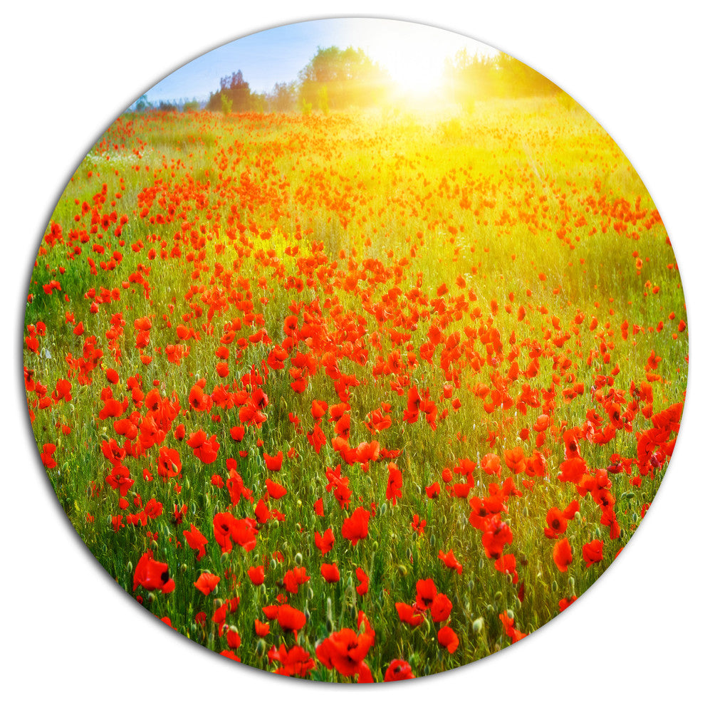 Beautiful Sunshine Over Poppy Fields, Floral Wall Round Wall Art, 23"