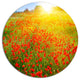 Beautiful Sunshine Over Poppy Fields, Floral Wall Round Wall Art, 23"