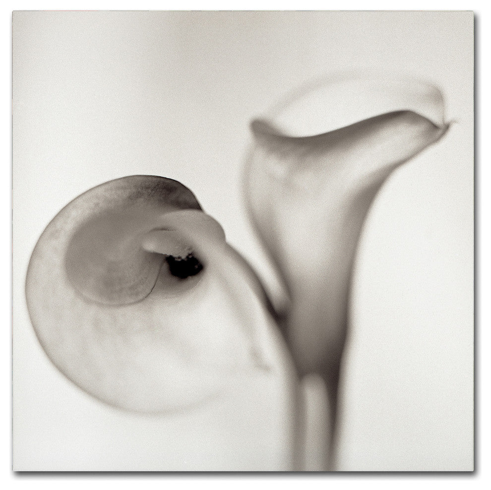 Alan Blaustein ''Florison 35'' Canvas Art, 18x18