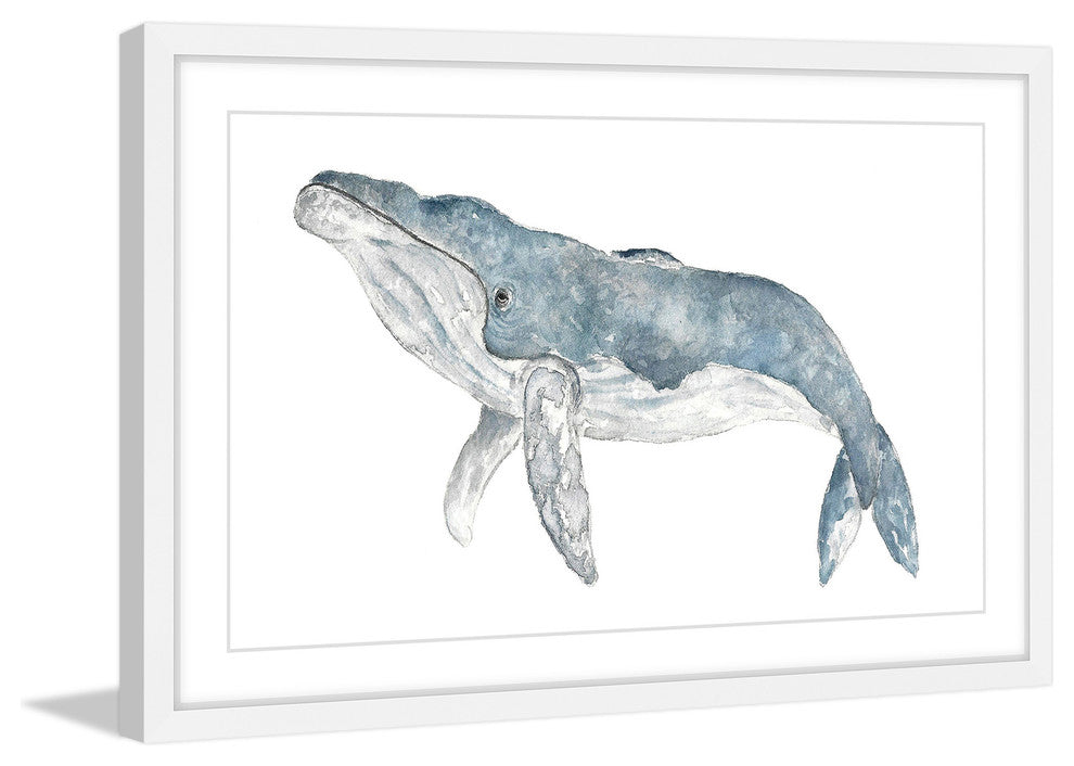 Marmont Hill, "Humpback Whale" by Thimble Sparrow Framed Painting Print, 24x16