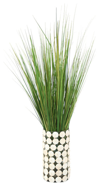 WaterlookÂ® Variegated Light Green Grass in Glass Cylinder