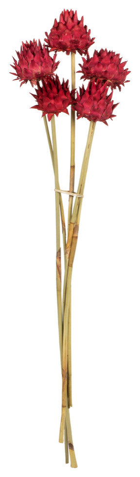 Vickerman 15" Artichoke Head With Reed Stem, Dried