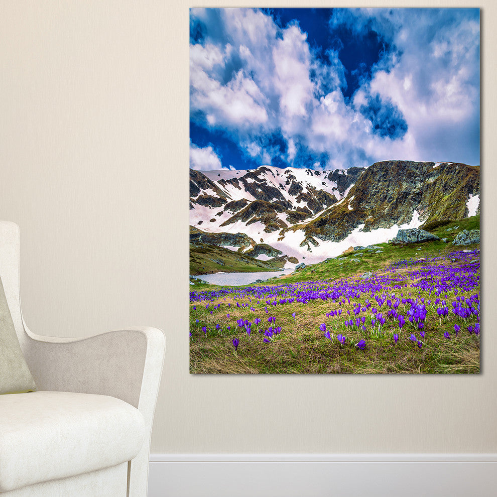 "Spring Blooming Crocus Flowers" Canvas Print
