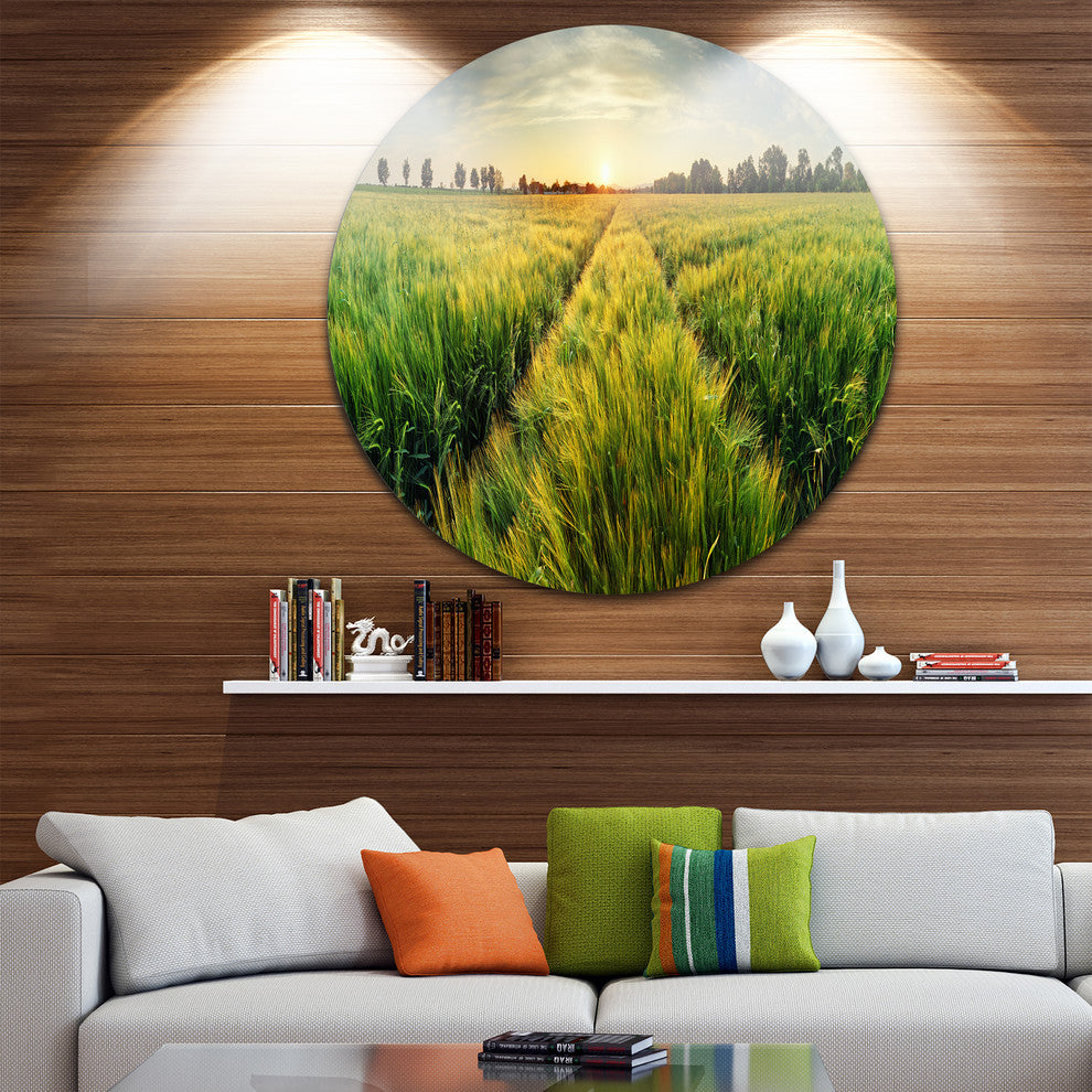 Green Wheat Field At Sunset, Landscape Photo Disc Metal Artwork, 23"