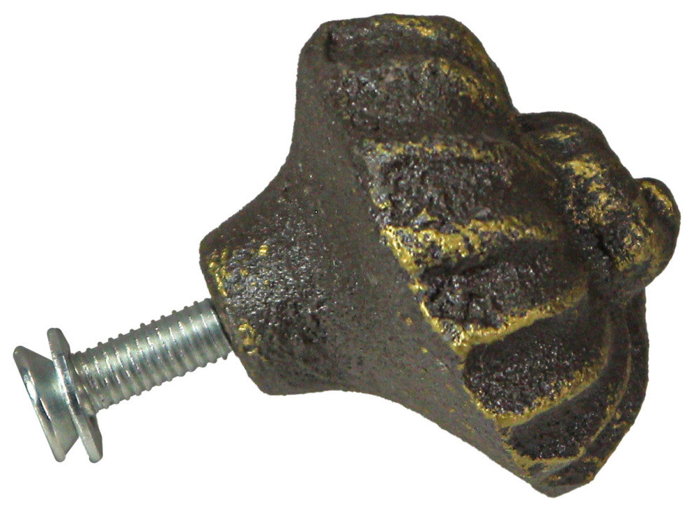 Bronze Cast Iron Nautilus Shell Drawer Pull Decorative Cabinet Knobs Set of 6