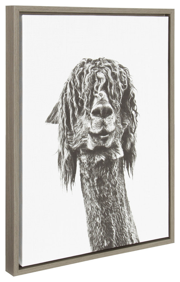 Sylvie Curly Alpaca 18x24 Gray Framed Canvas Wall Art by Simon Te Tai