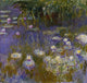 Claude Oscar Monet Water Lilies Premium Canvas Print