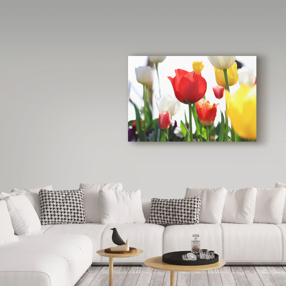 Incredi 'Red White And Yellow' Canvas Art, 19"x12"
