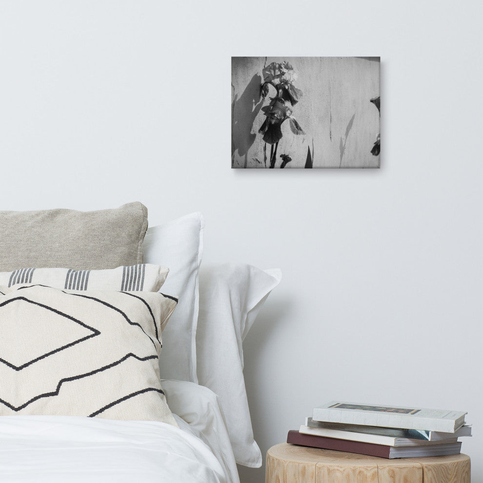 Iris on Wall Black and White Floral Nature Photo Canvas Wall Art Print, 12" X 16"