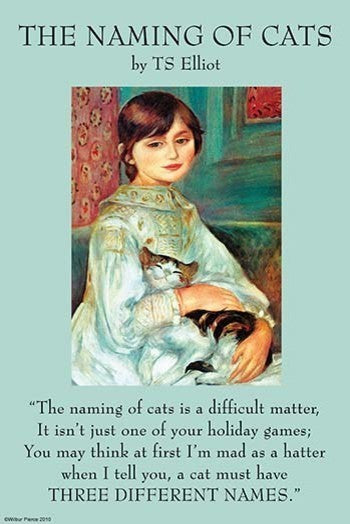 The Naming of Cats- Gallery Wrapped Canvas Art 28" x 42"