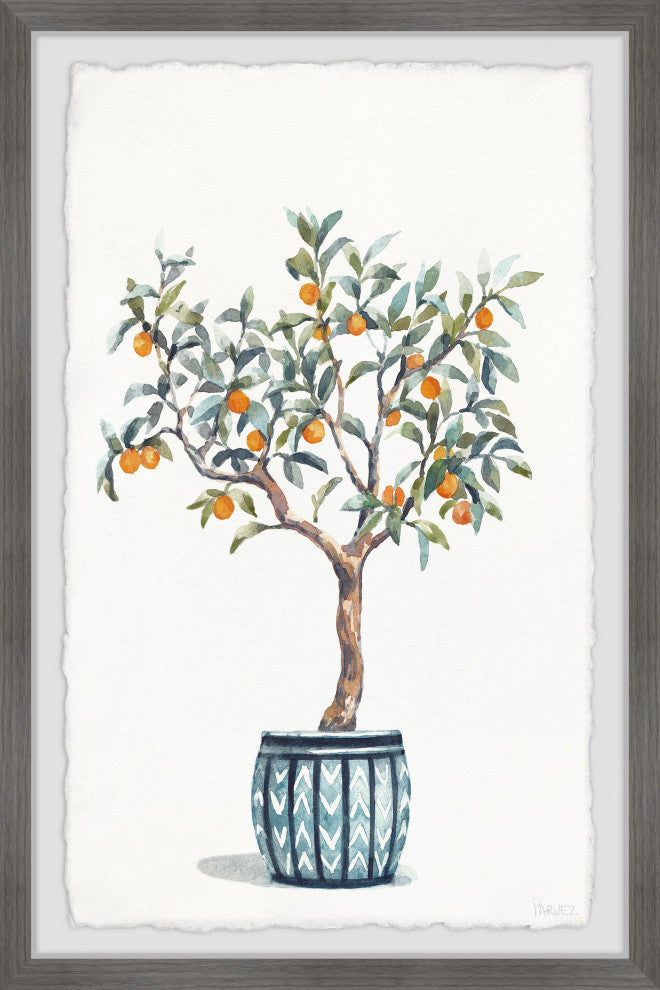 "Bonsai Orange Tree" Framed Painting Print