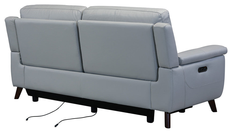 Steffanie Contemporary Sofa, Dark Wood and Dove Gray Genuine Leather