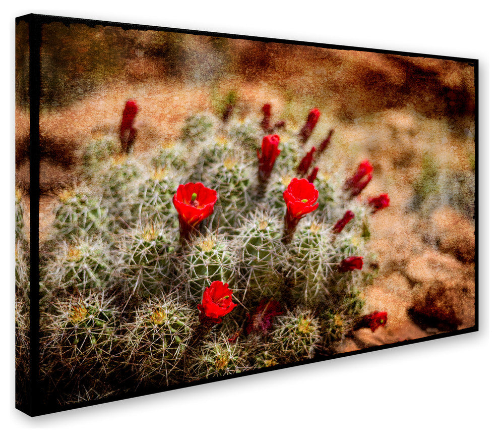 LightBoxJournal 'Desert Flower 3' Canvas Art, 12" x 19"