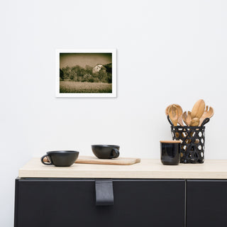 Abandoned Barn In The Trees Vintage Framed Photo Paper Wall Art Prints, White, 8" X 10"