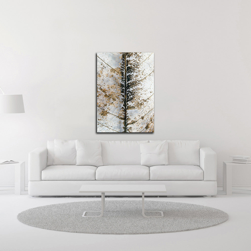 Close Up by Design Fabrikken, Print on Canvas, 30"x42"