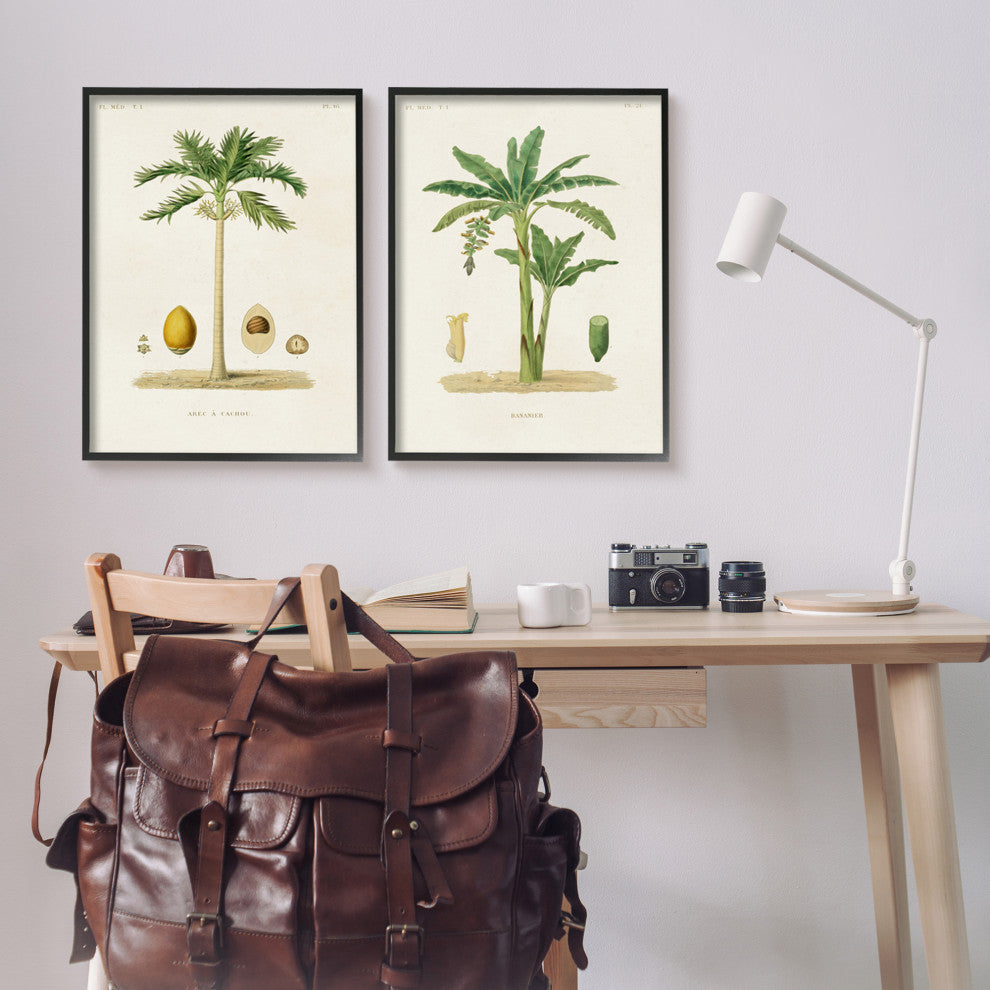 Minimal Green Palm tree Coconuts Diagram Illustration, 2pc, each 24 x 30
