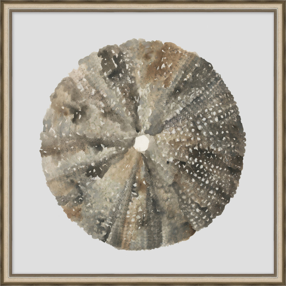 Watercolor Sea Shells 6, Giclee Reproduction Artwork