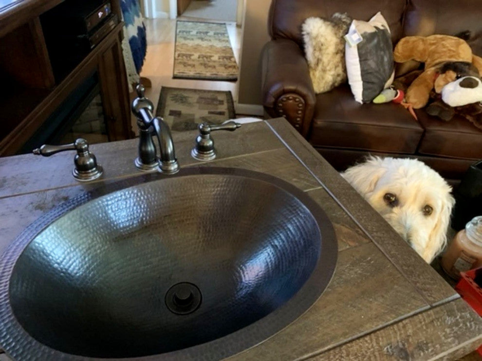 The "Savannah" Brushed Bronze Two Handle Bathroom Vanity Faucet