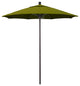 7.5' Bronze Push Lift Fiberglass Rib Aluminum Umbrella, Pacifica, Ginkgo