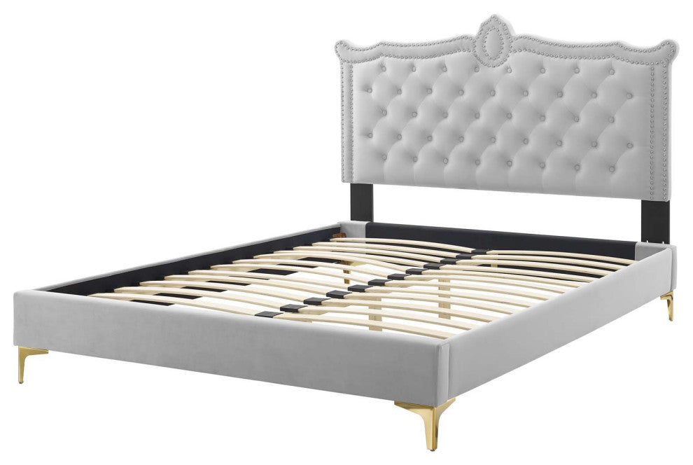 Platform Bed Frame, Nailhead, Queen Size, Gray, Velvet, Modern
