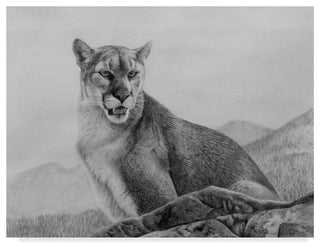 Rusty Frentner 'Cougar Study' Canvas Art, 47"x35"