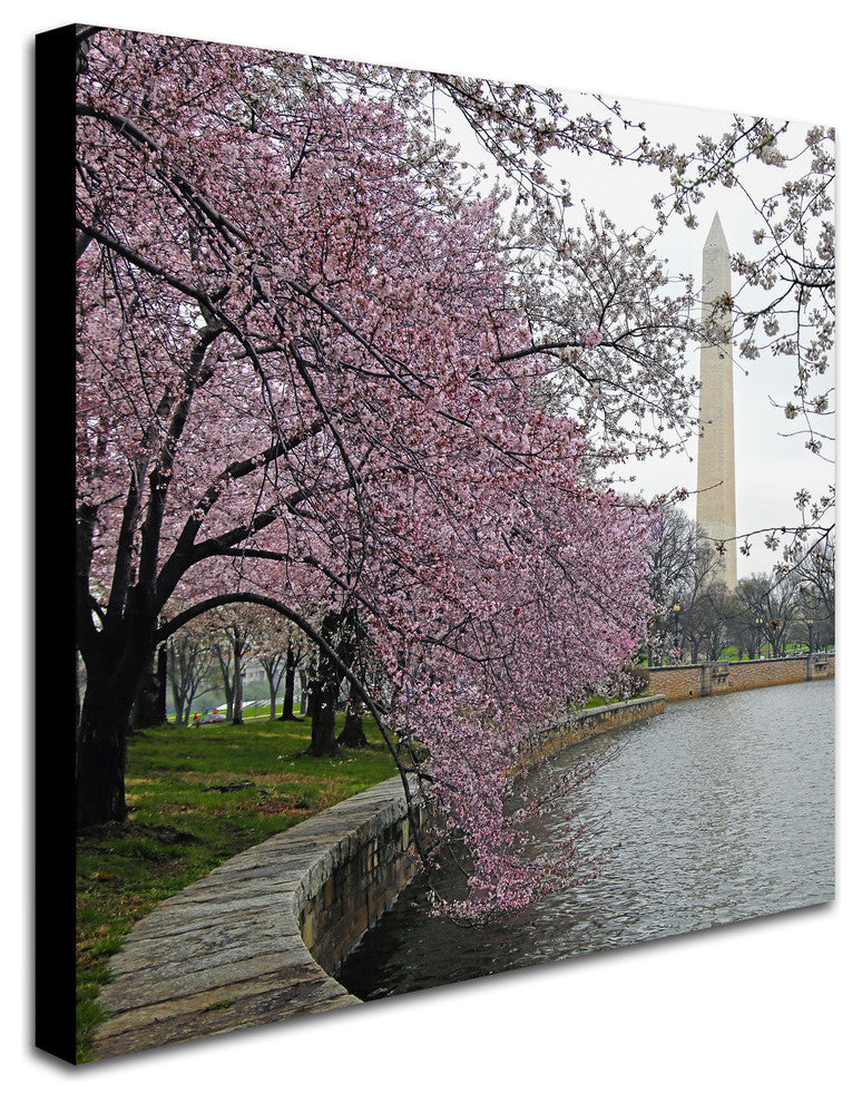 CATeyes 'Washington Blossoms' Canvas Art, 18x18