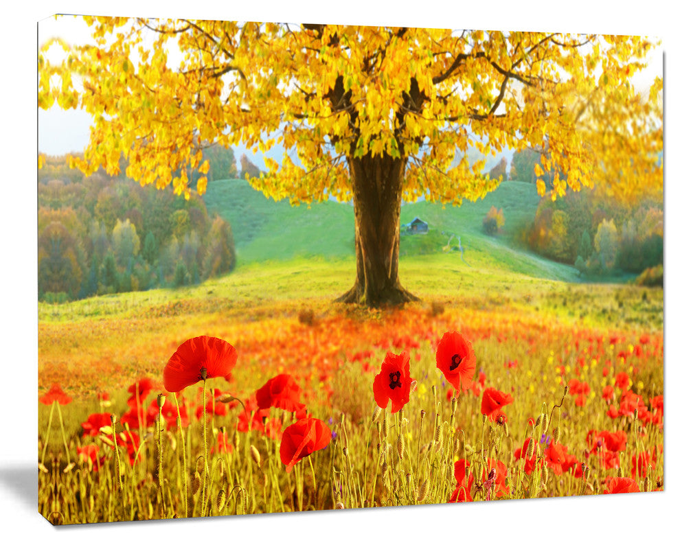Beautiful Autumn Yellow Tree, Large Floral Canvas Art Print, 60x40