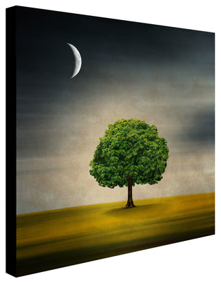 'Under the Moon' Canvas Art by Philippe Sainte-Laudy