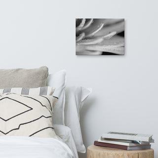 Droplets on Petals Floral Nature Photography Canvas Wall Art Print, 12" X 16"