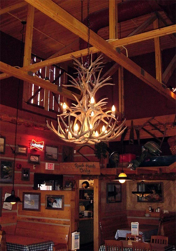 Reproduction Antler Whitetail, Mule Deer Cascade Chandelier Light, RL-8