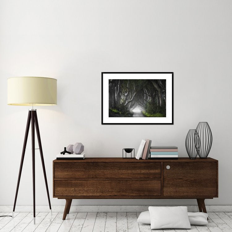 "Dark Hedges" Framed Digital Print by Nicola Molteni, 38"x28"