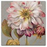 'Classically Beautiful II' Canvas Art by Lisa Audit
