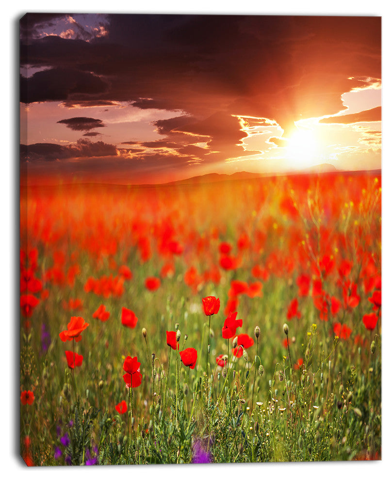 Wild Poppy Flowers At Cloudy Sunset, Large Flower Canvas Art Print, 30"x40"