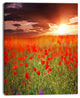 Wild Poppy Flowers At Cloudy Sunset, Large Flower Canvas Art Print, 30"x40"