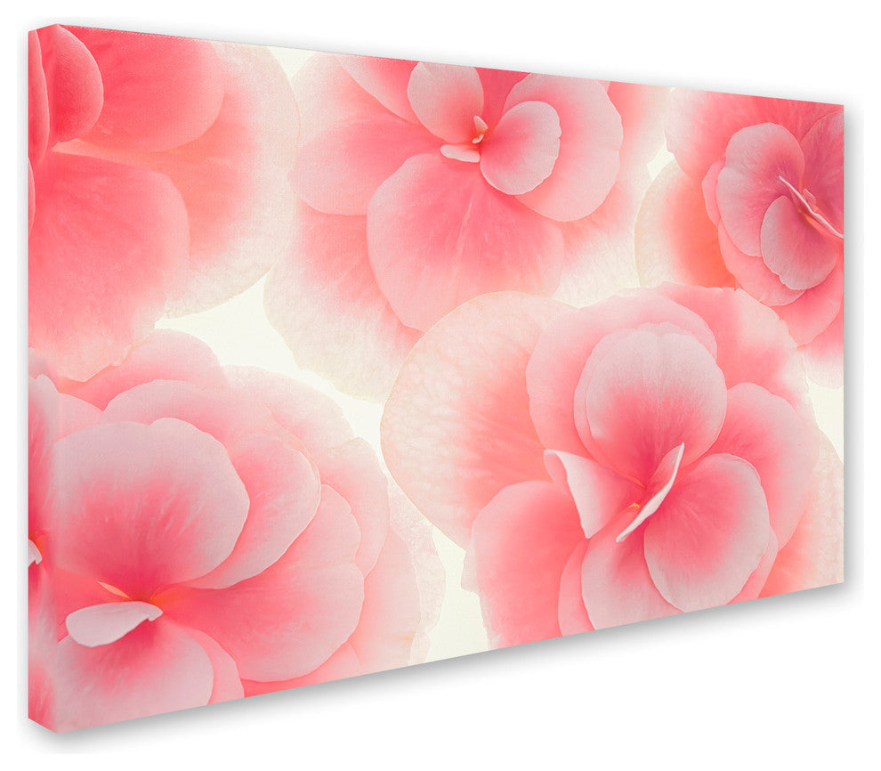 Cora Niele ''Rose Begonia Flowers'' Canvas Art