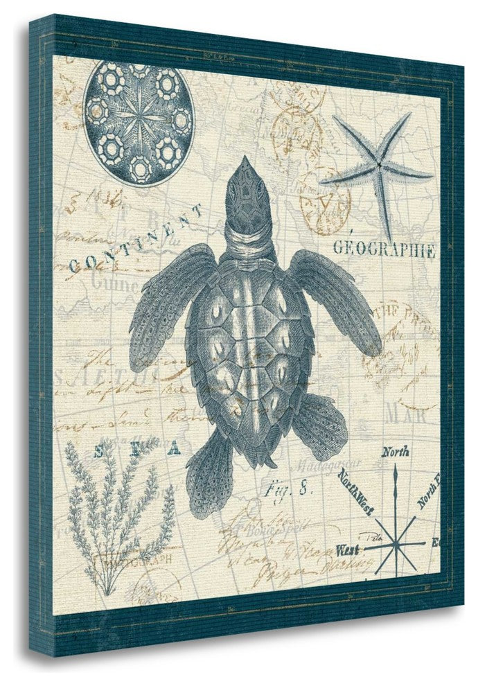 "Ocean Life VI" By Pela Err, Giclee Print on Gallery Wrap Canvas, Ready to Hang