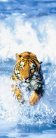 Bengal Tiger Door Mural DM590