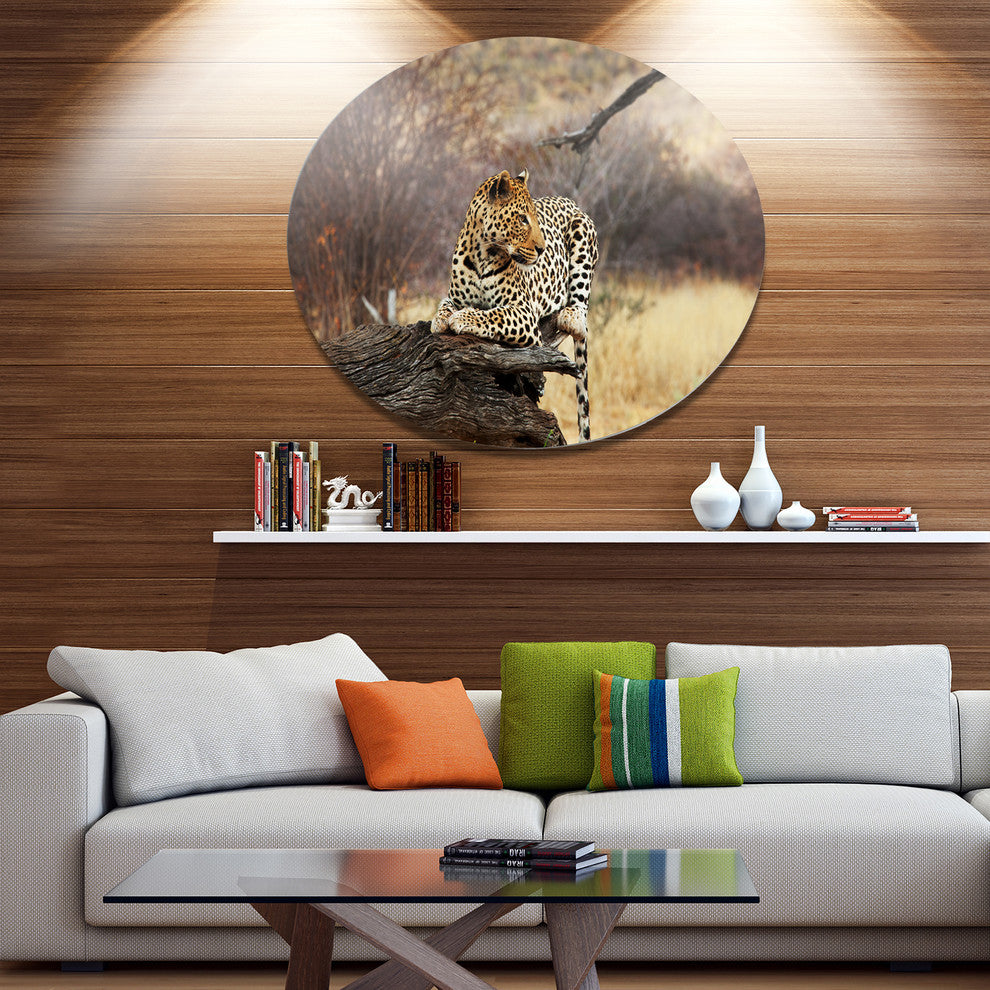 Leopard Sitting On Tree Trunk, African Large Disc Metal Wall Art, 36"