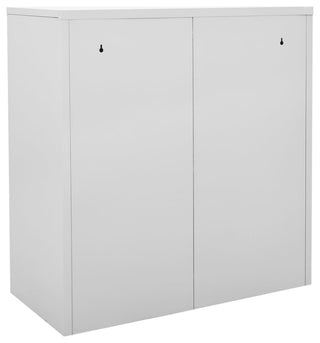 Full white-background shot of the 2-door cabinet (alternate_white_full).