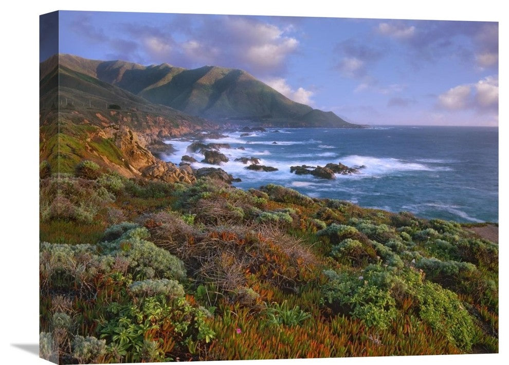 "Cliffs-The Pacific Ocean, Garrapata State Beach, Big Sur, California" Artwork