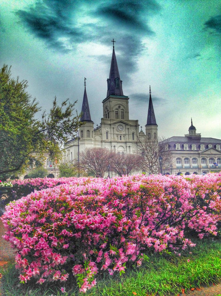 New Orleans "Azaleas at Cathedral" Stretched Canvas Giclee, 12"x16"