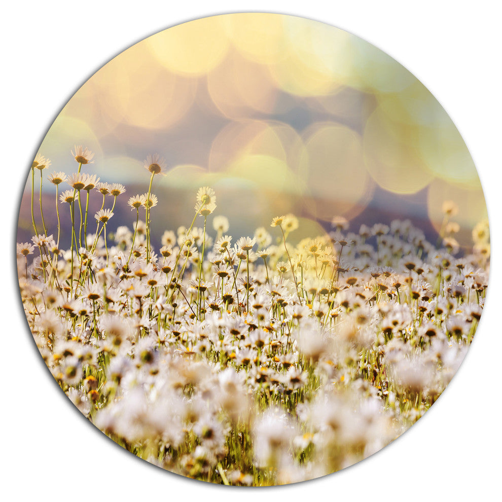 Beautiful Chamomiles Field, Landscape Round Wall Art, 36"