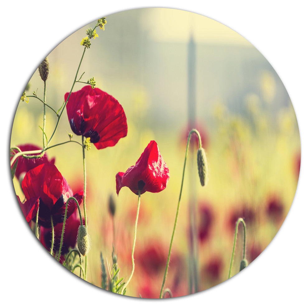 Poppy Flowers On Green Background, Flower Large Disc Metal Artwork, 11"